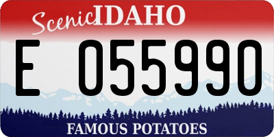 ID license plate E055990