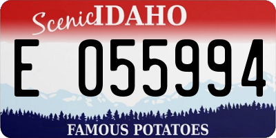 ID license plate E055994