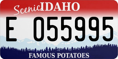 ID license plate E055995