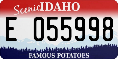ID license plate E055998