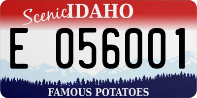 ID license plate E056001