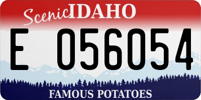ID license plate E056054