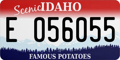 ID license plate E056055