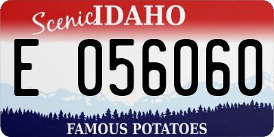 ID license plate E056060