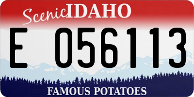 ID license plate E056113