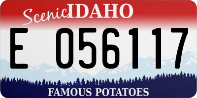 ID license plate E056117