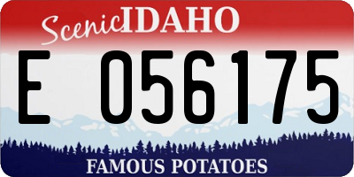 ID license plate E056175