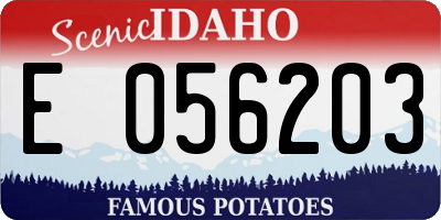 ID license plate E056203