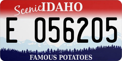 ID license plate E056205