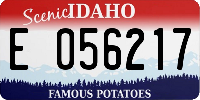 ID license plate E056217