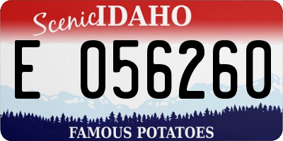 ID license plate E056260