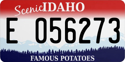 ID license plate E056273