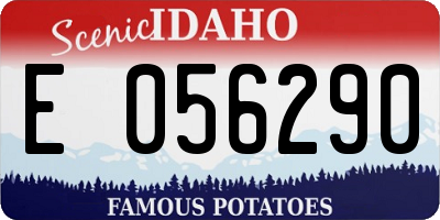 ID license plate E056290