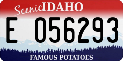 ID license plate E056293