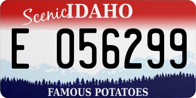 ID license plate E056299