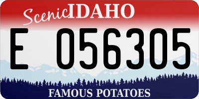 ID license plate E056305