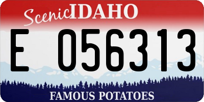 ID license plate E056313