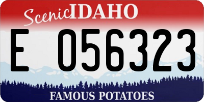 ID license plate E056323