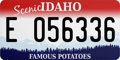 ID license plate E056336