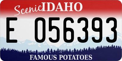 ID license plate E056393