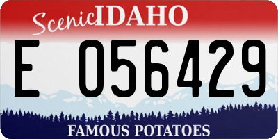 ID license plate E056429
