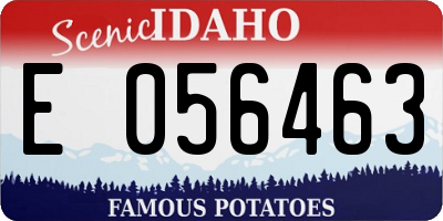 ID license plate E056463