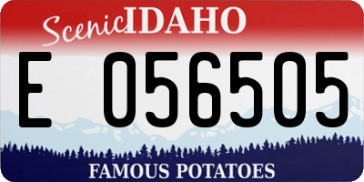 ID license plate E056505