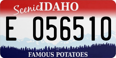 ID license plate E056510