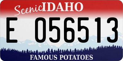 ID license plate E056513