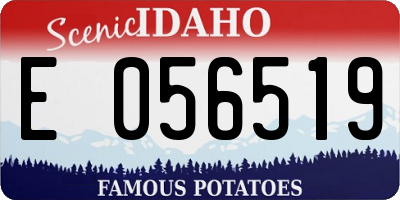 ID license plate E056519