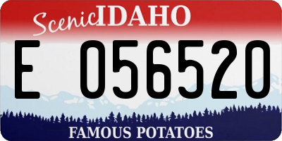 ID license plate E056520