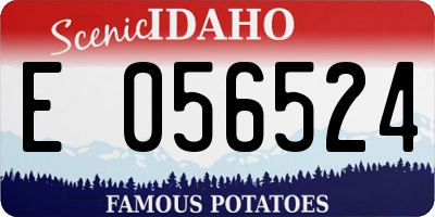 ID license plate E056524