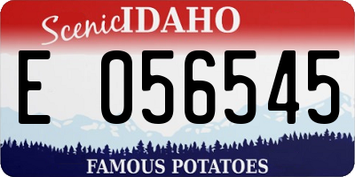 ID license plate E056545