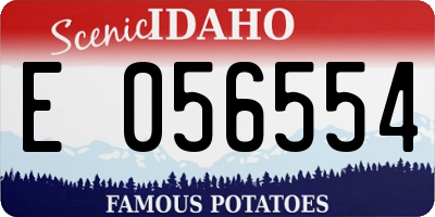 ID license plate E056554