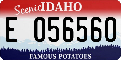 ID license plate E056560
