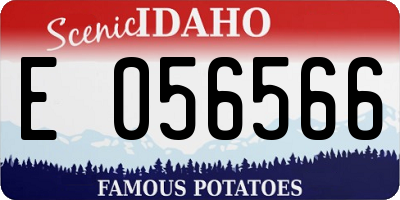 ID license plate E056566