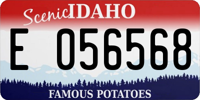 ID license plate E056568