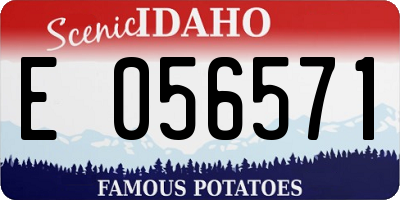ID license plate E056571