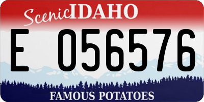 ID license plate E056576