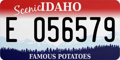 ID license plate E056579
