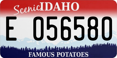 ID license plate E056580