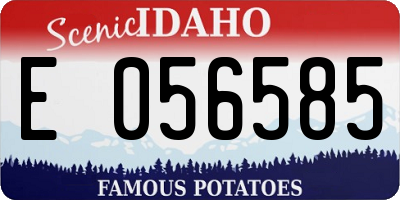 ID license plate E056585