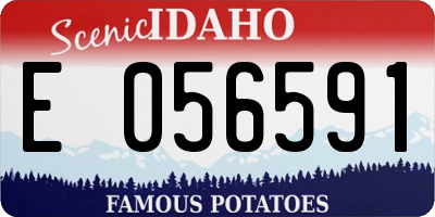 ID license plate E056591