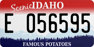 ID license plate E056595