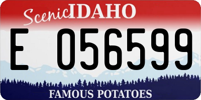 ID license plate E056599