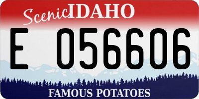 ID license plate E056606