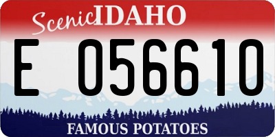 ID license plate E056610