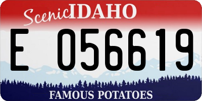 ID license plate E056619