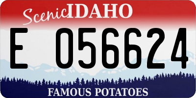 ID license plate E056624