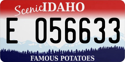 ID license plate E056633